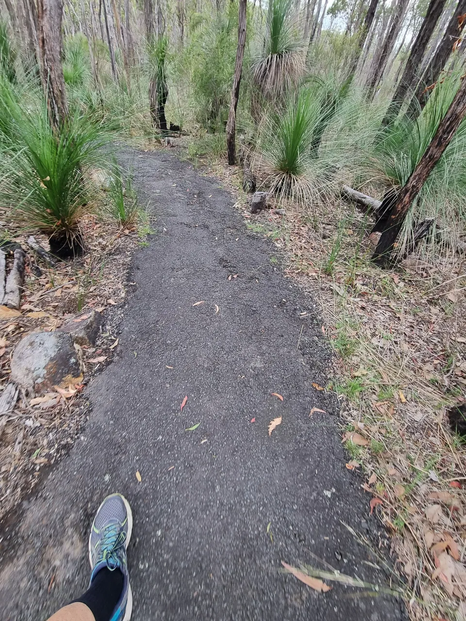 Flat asphalt path most of the way made it pretty easy going.