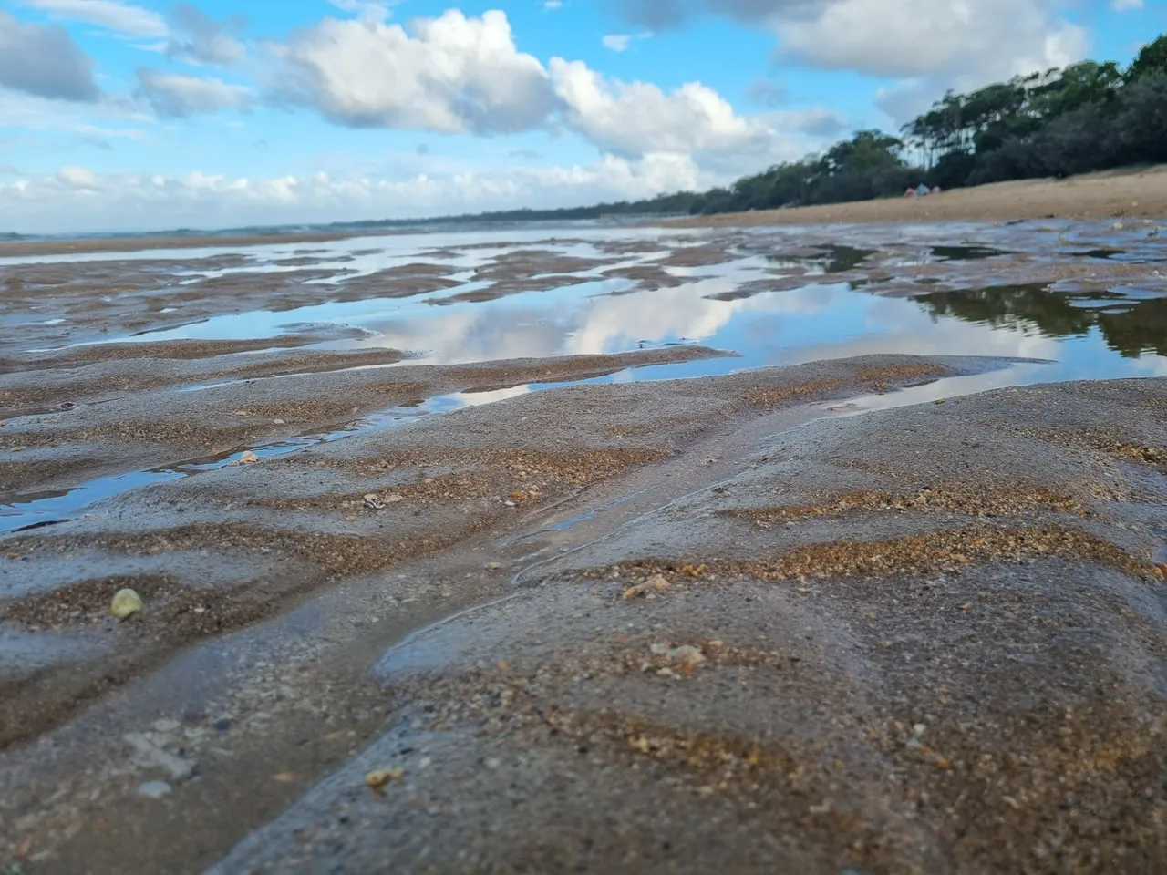 Torquay Beach at low tide.