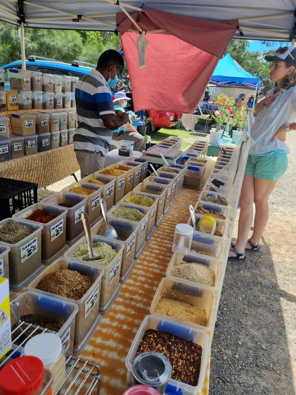 consciouscat choosing some spices.