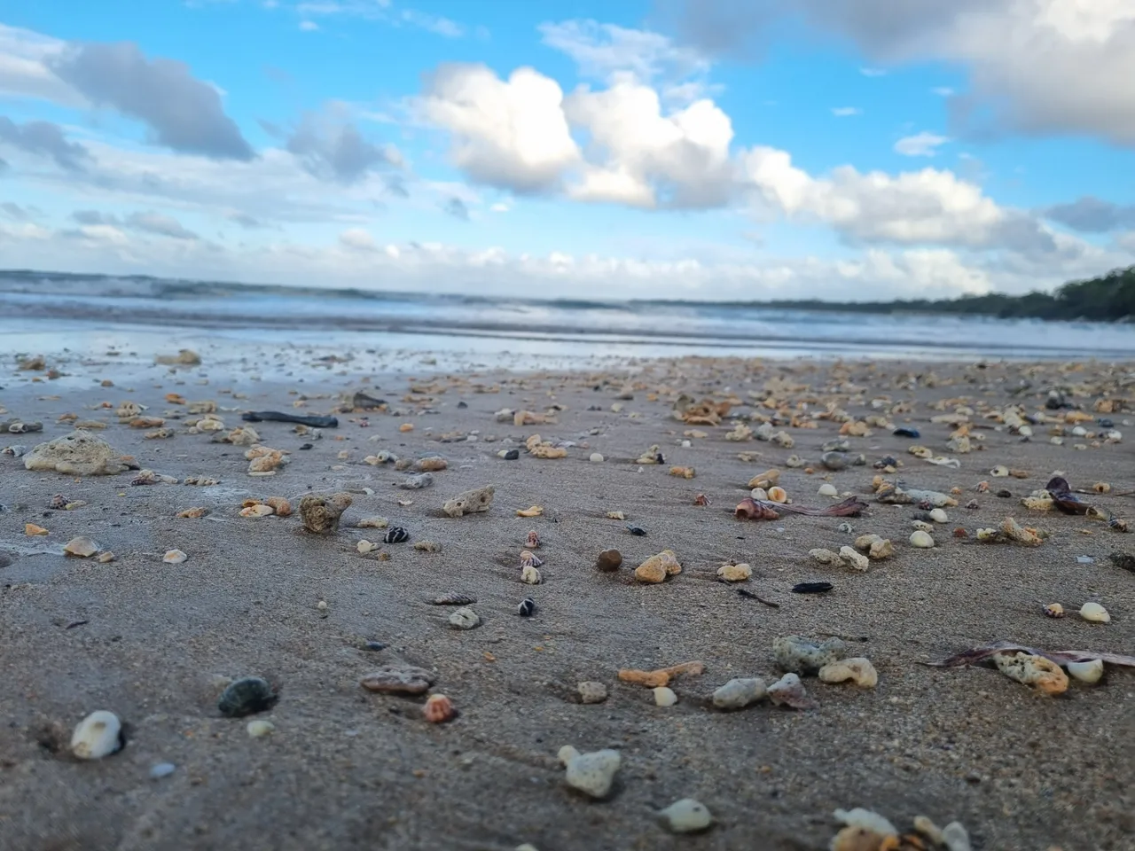 So many shells. So much pumice stone. It was pretty beautiful actually.