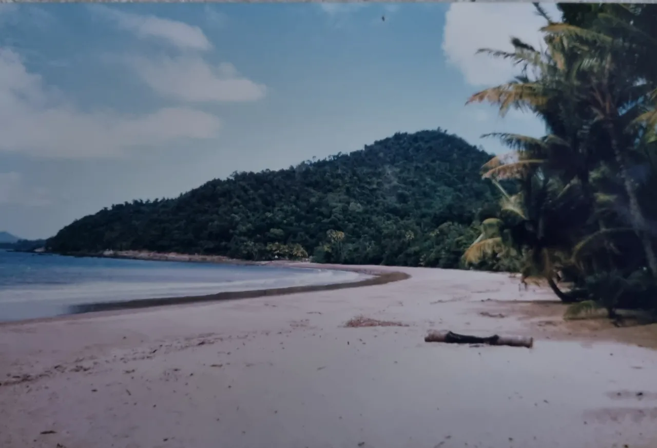 Mission Beach. I was staying at a Tree House Backpackers accommodation nearby.