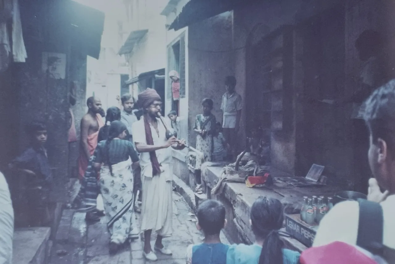 Snake charmer down one of the side streets.