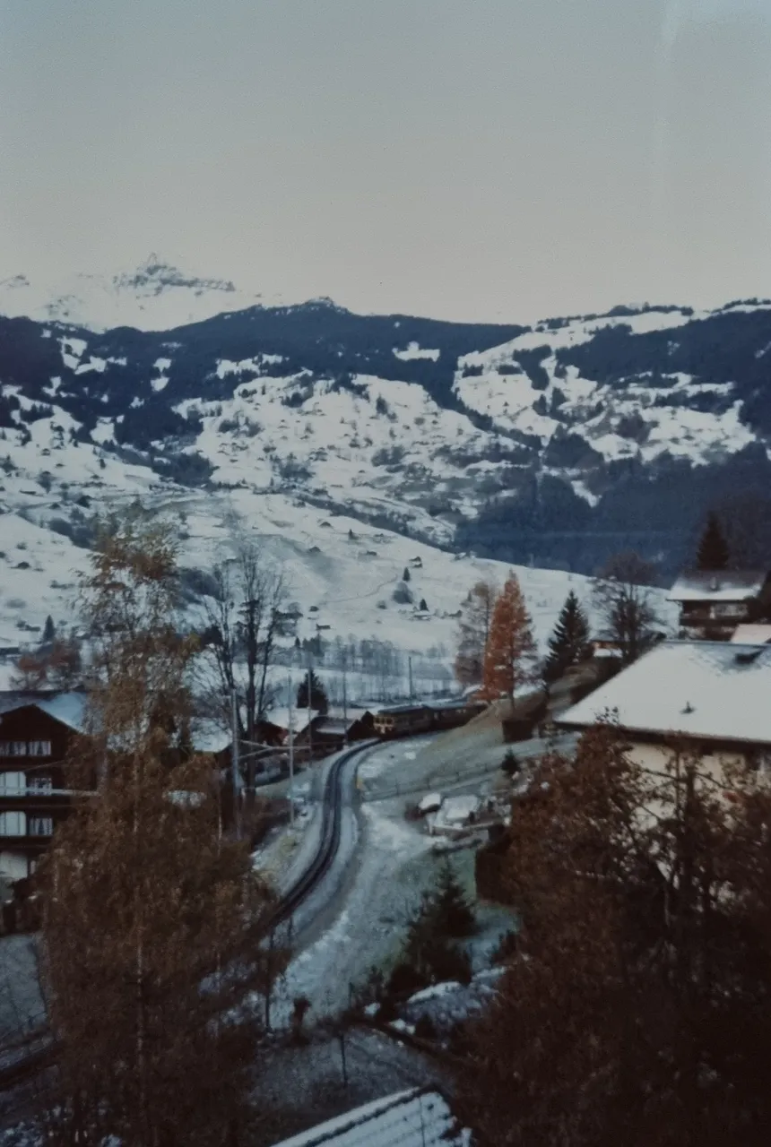 The train making its way up the valley to Grindelwald.