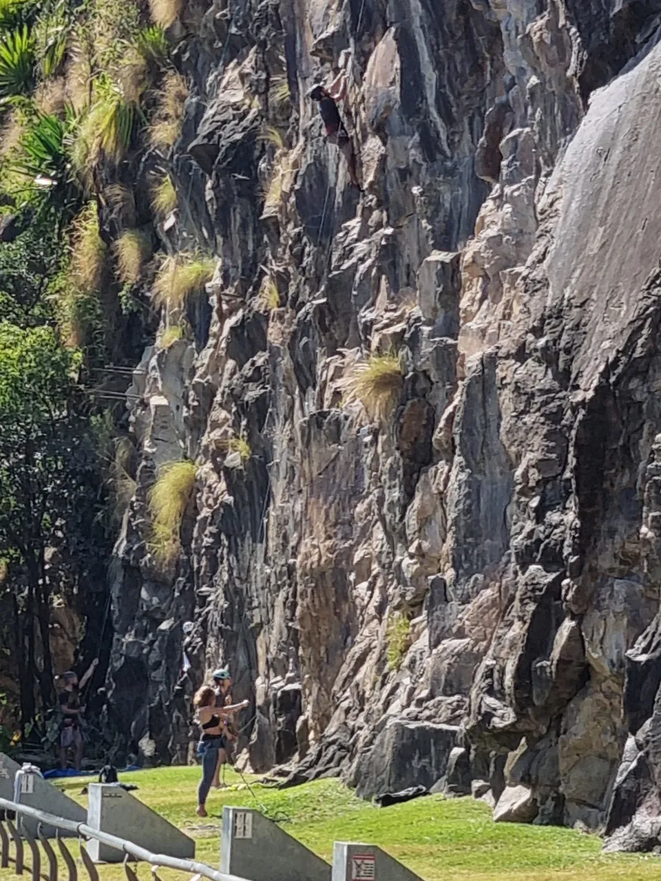 and even a few climbing the cliffs.