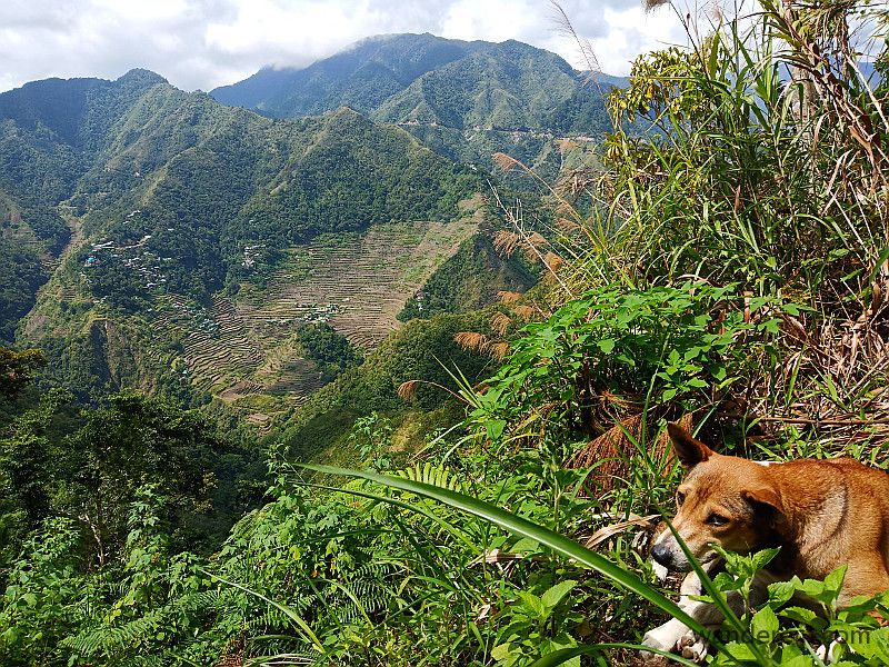 Brownie: "Just enjoy the view and stop taking photos"