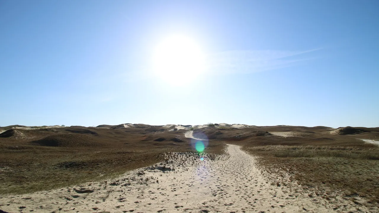 Grey Dunes. Photo by Wander Spot Explore ©