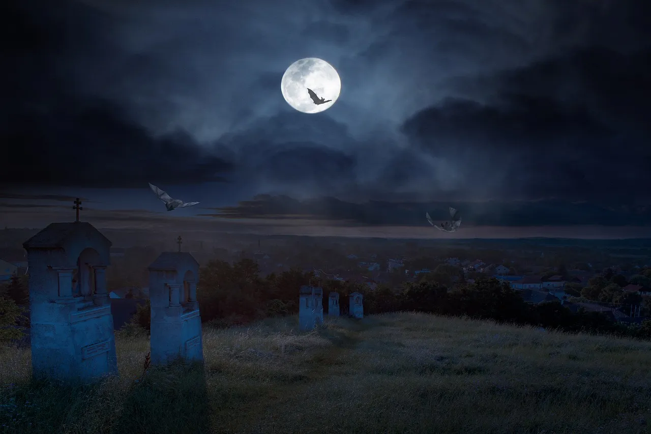 Cemetery at night with bats