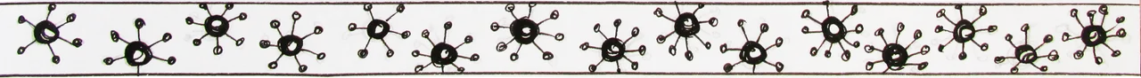 D.png