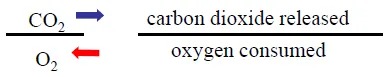 1.PNG