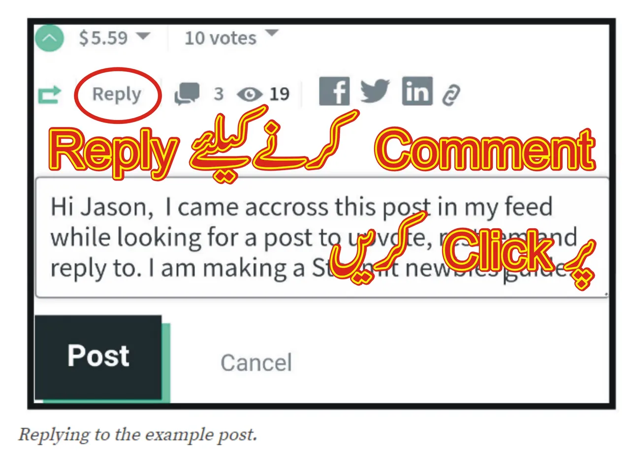 t.jpg