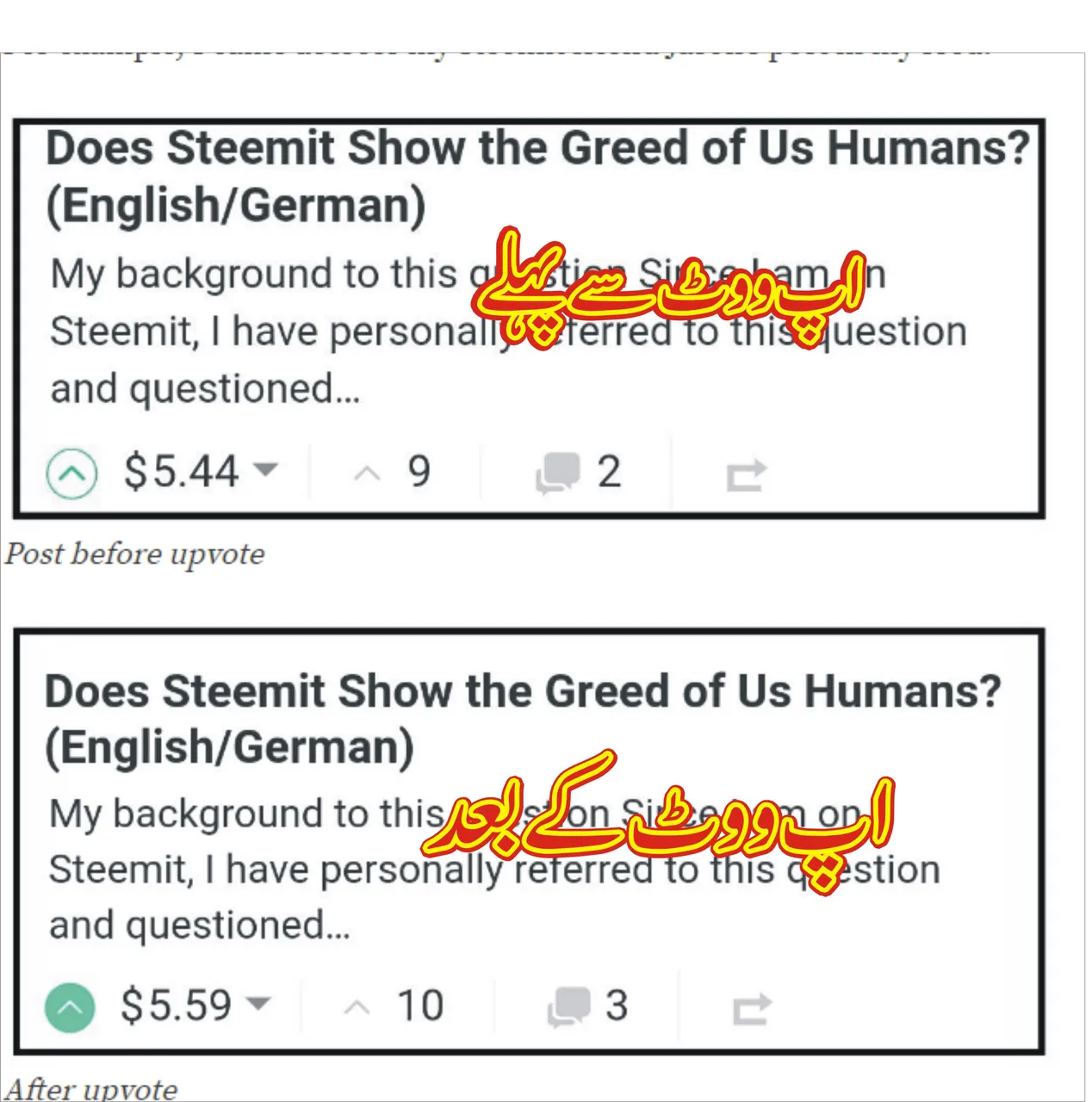 i.jpg