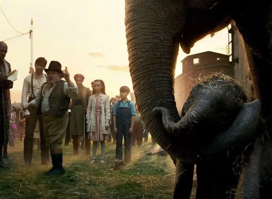 elephant.jpg