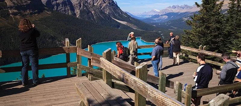 Peyto Lake View