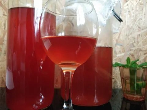 Recette N°120 - Kombucha de l'été - Crédit photo izart.fr