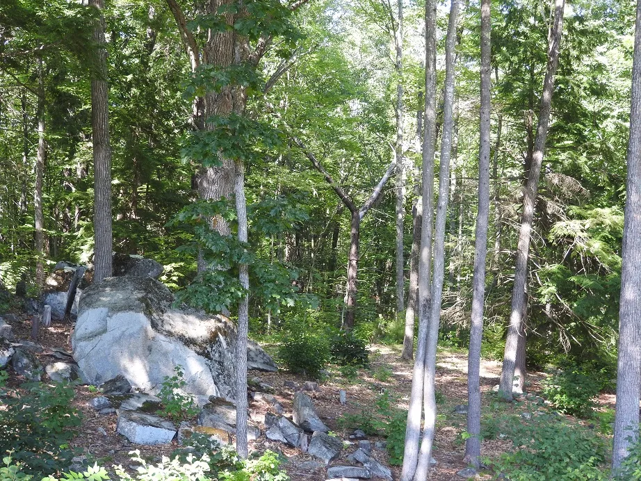 Walk from July 12th 2016