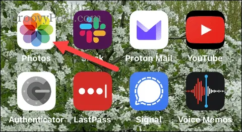 1-photos-home-screen