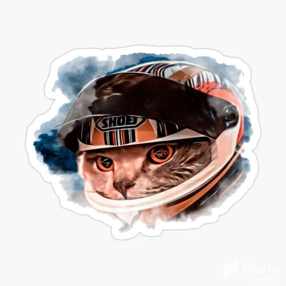 cll6qg98o00h60pszfta1dnmr_stsmall845x845-pad1000x1000f8f8f8.webp