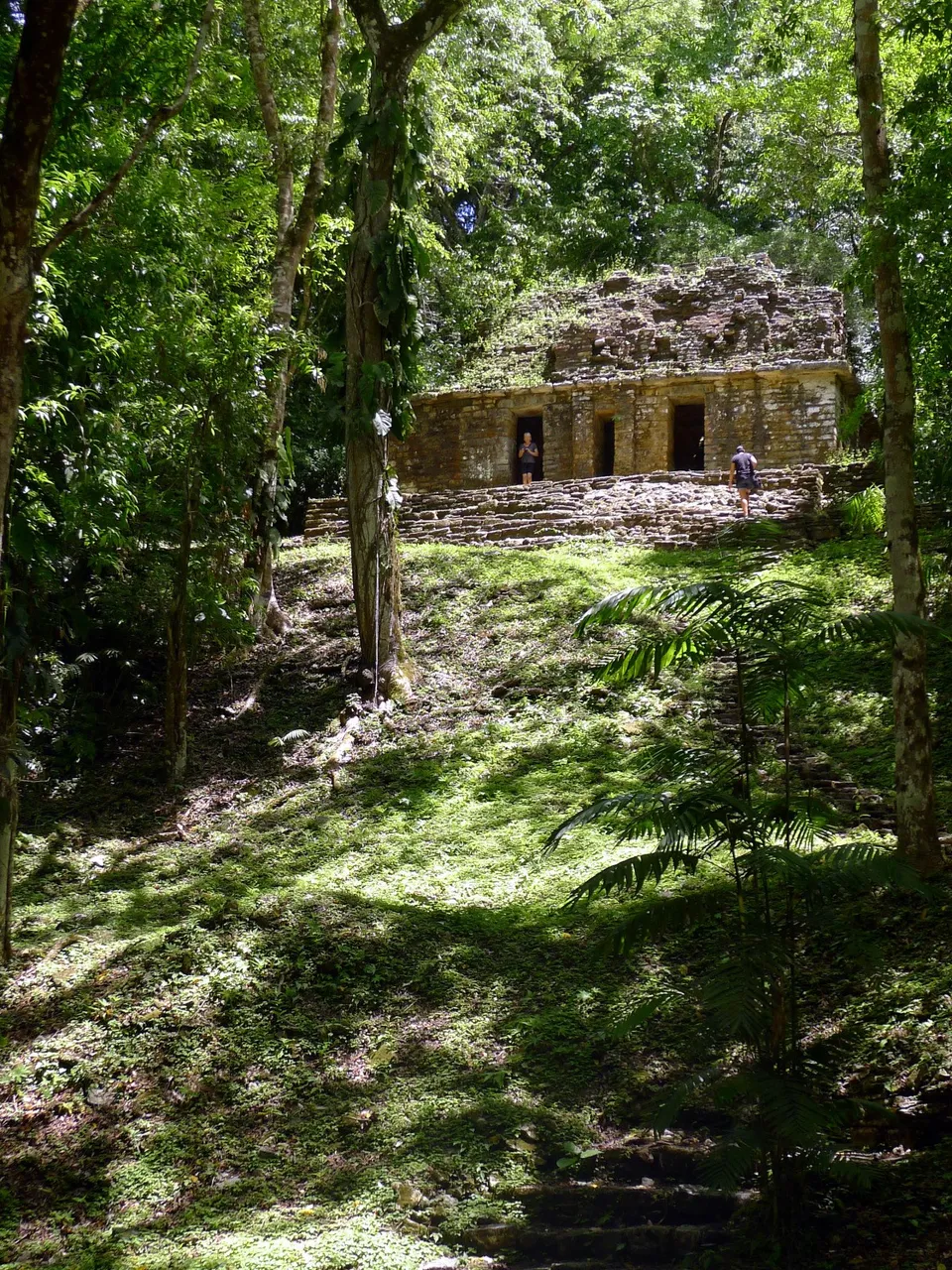 mexiko chiapas rio usumacinta yaxchilan small acropolis struktur 40