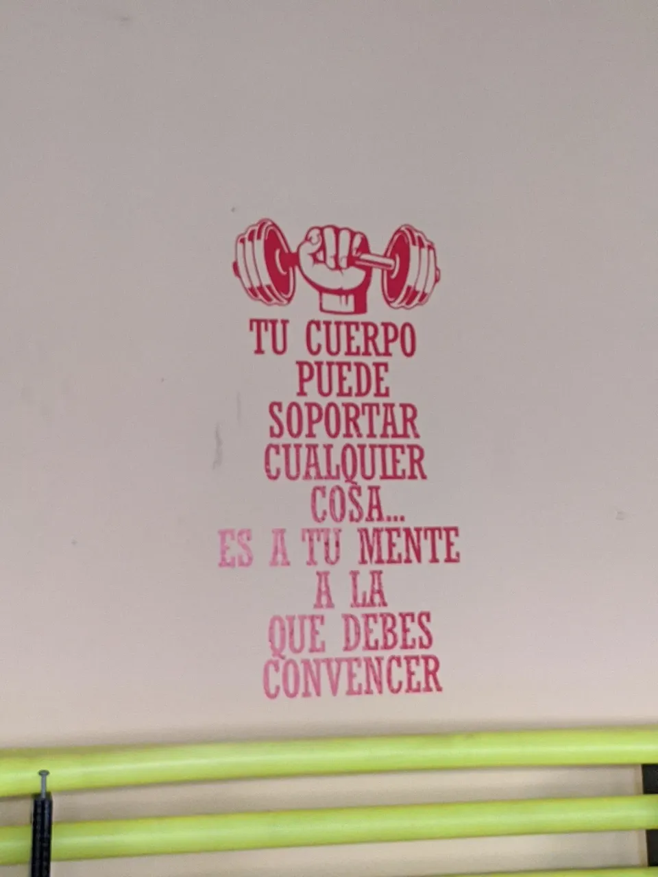 BTr2lub506b13M7d_IMG_20250513_092328.webp