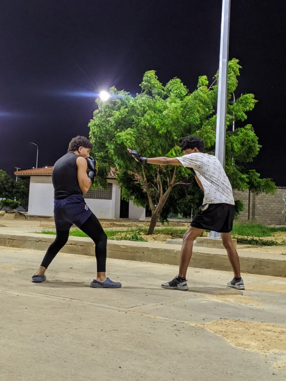 f4JHWQIHITcqn9xa_IMG_20241130_190446.webp