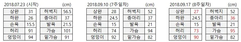 사이즈 8주차.JPG