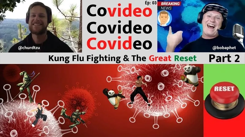 Covideo 003 Kung Flu Fighting and The Great Reset Pt 2 Thm.jpg