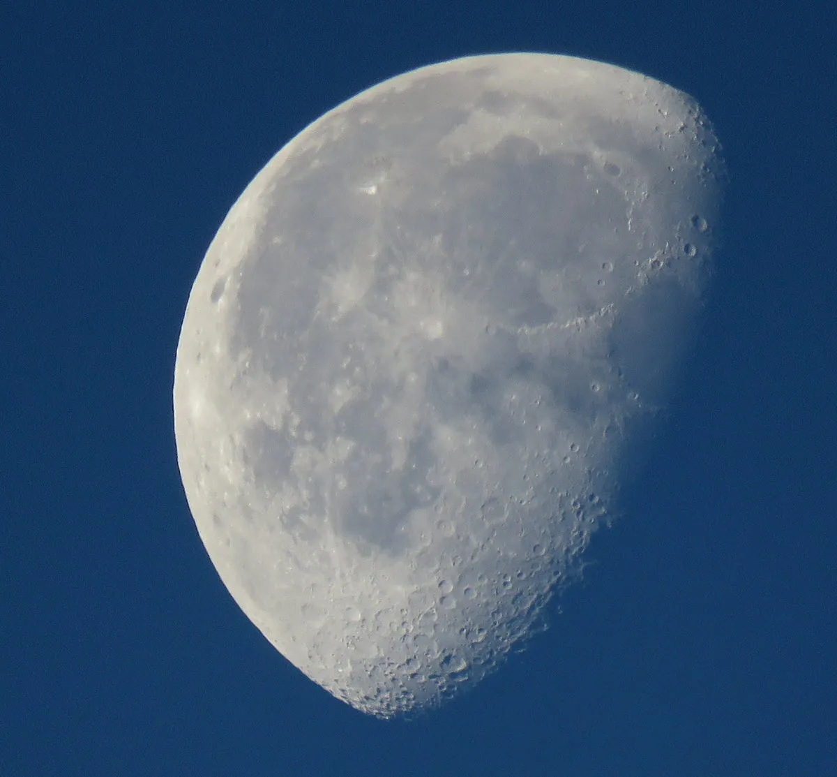 close up half moon showing surface details with a darker sky.JPG