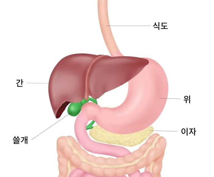 소화기 문제로 질염 냉 - 통인한의원.jpg