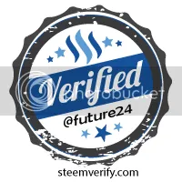 verified-future24