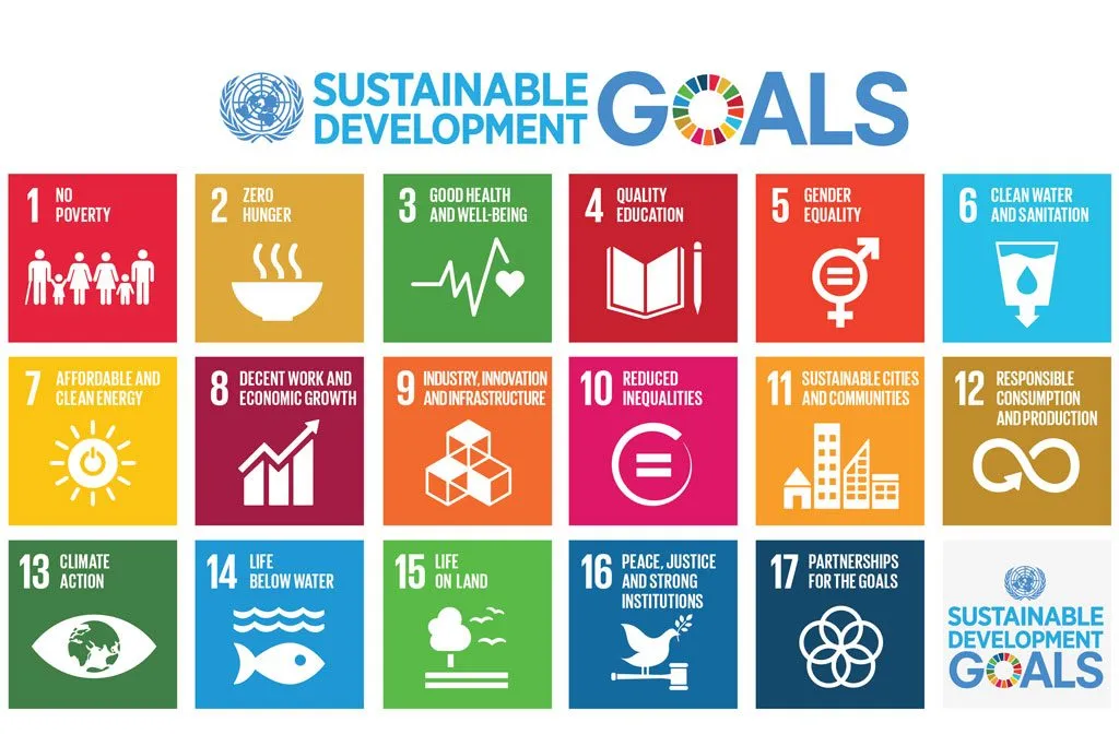 Image result for united nations goals for 2030