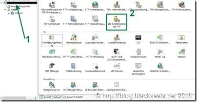 iis_ftp-service_webserver