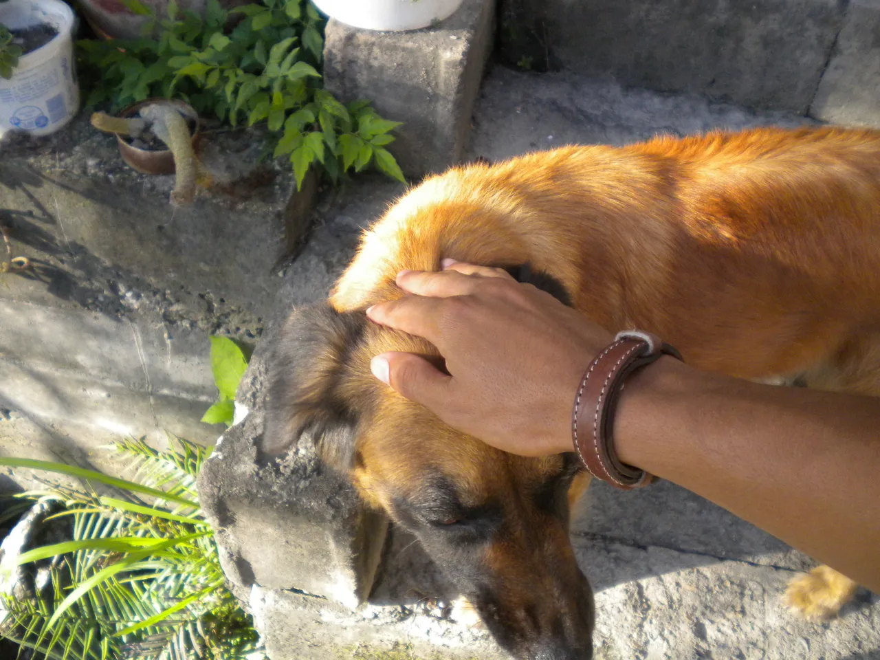 DSCN3328.JPG