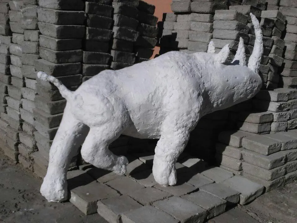 rino 4.jpg