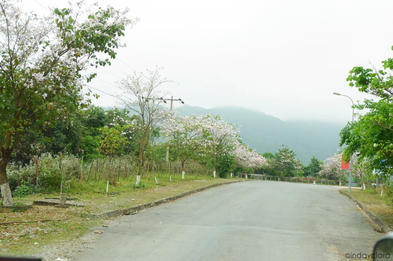 DSCF3390.JPG