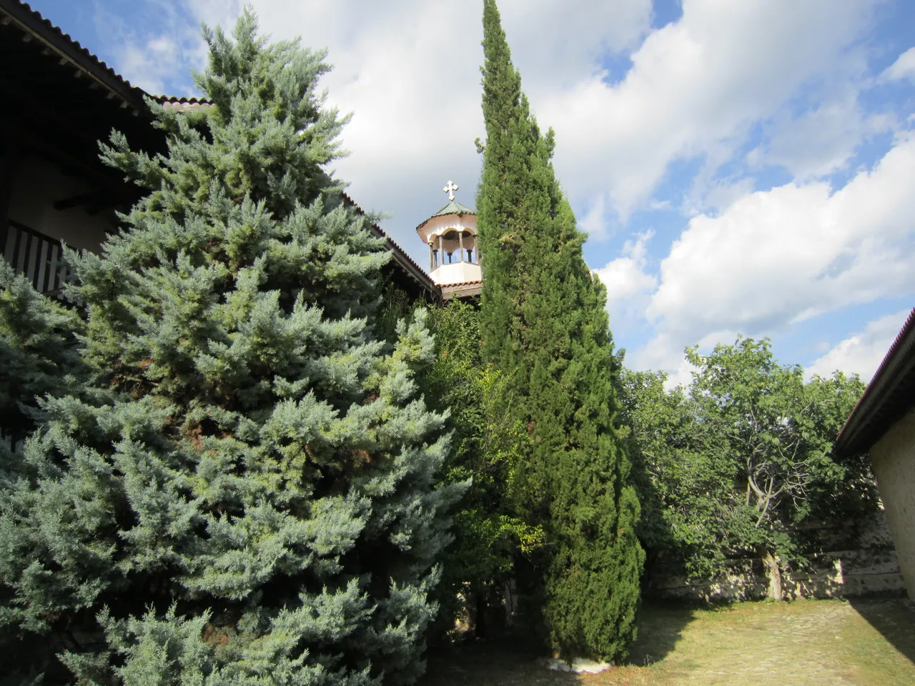 IMG_4455.jpg