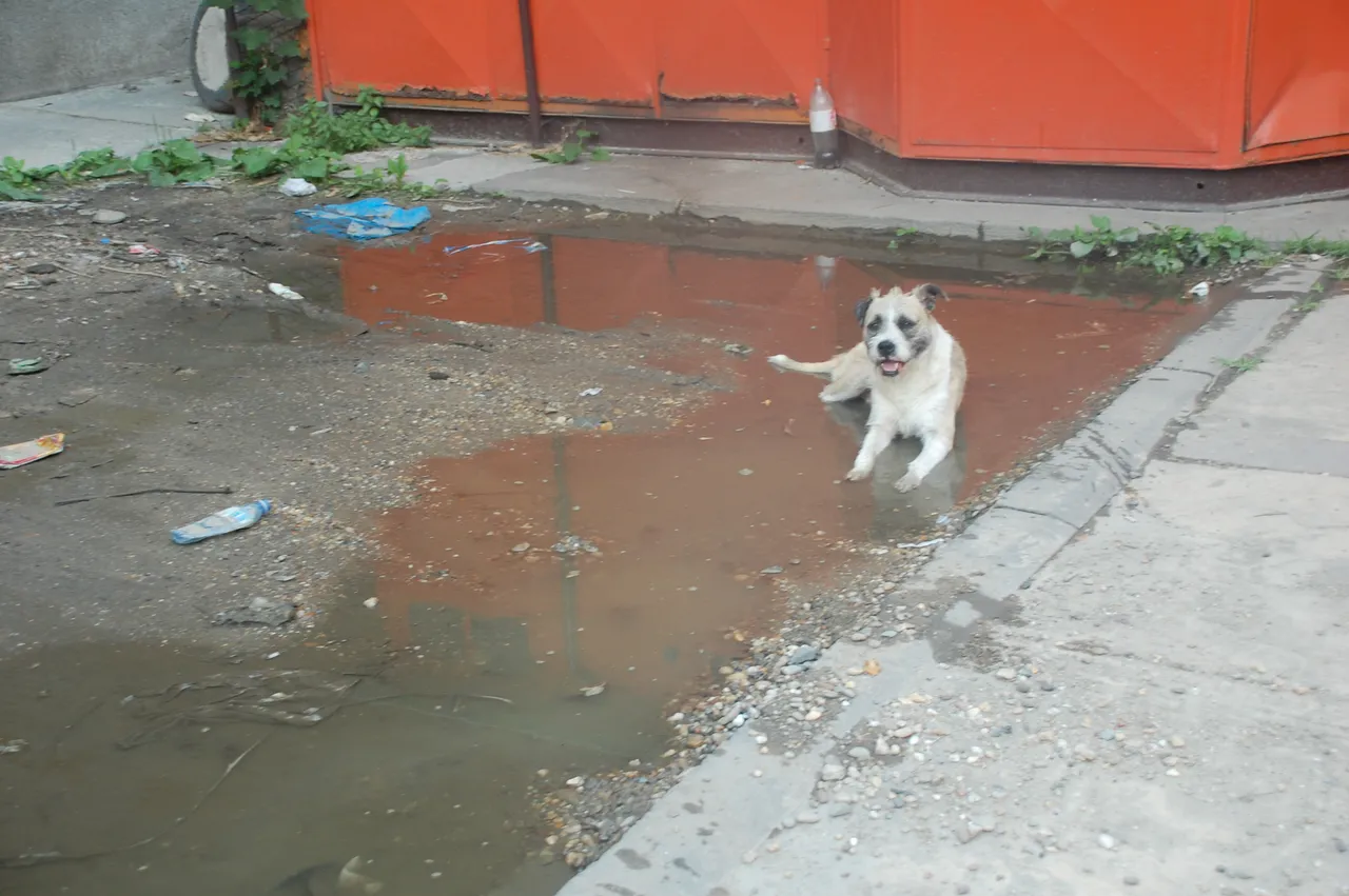 DSC_9719.JPG