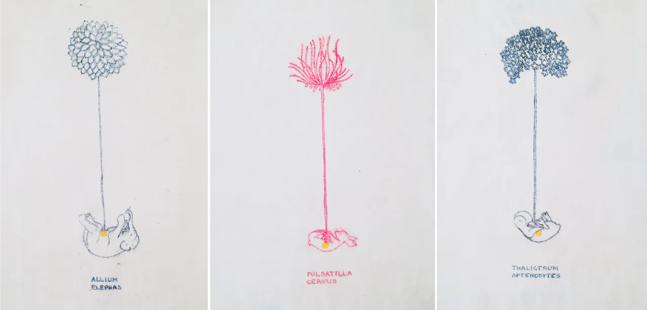 botanima.jpg