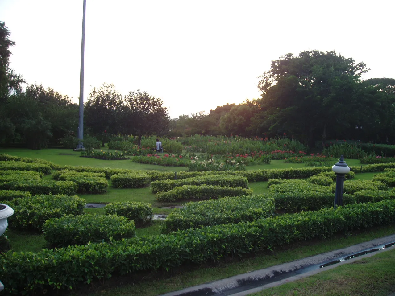 Queen Sirikit Park - taking photos of flowers