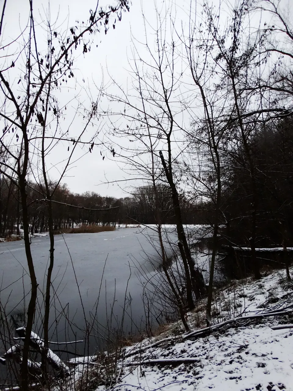 DSC05182.JPG