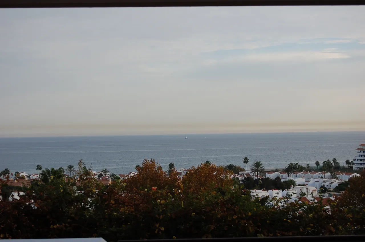 DSC_0268.JPG