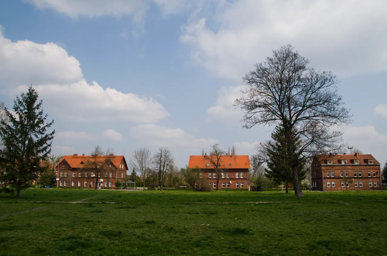IMGP5171.JPG