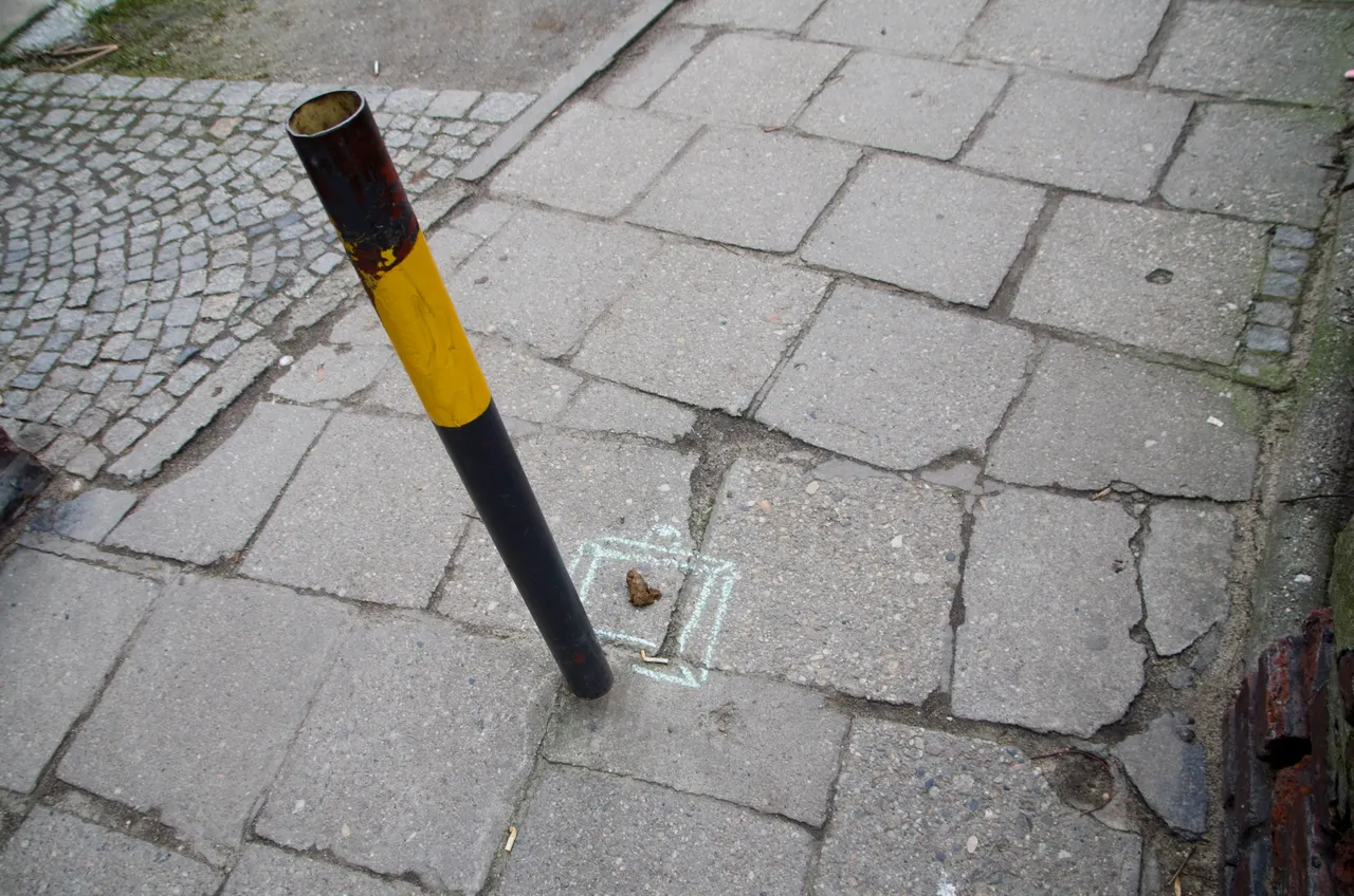 IMGP3930.JPG