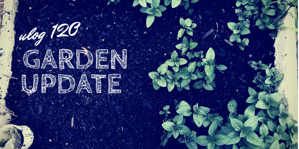 ULOG 120 - Garden update