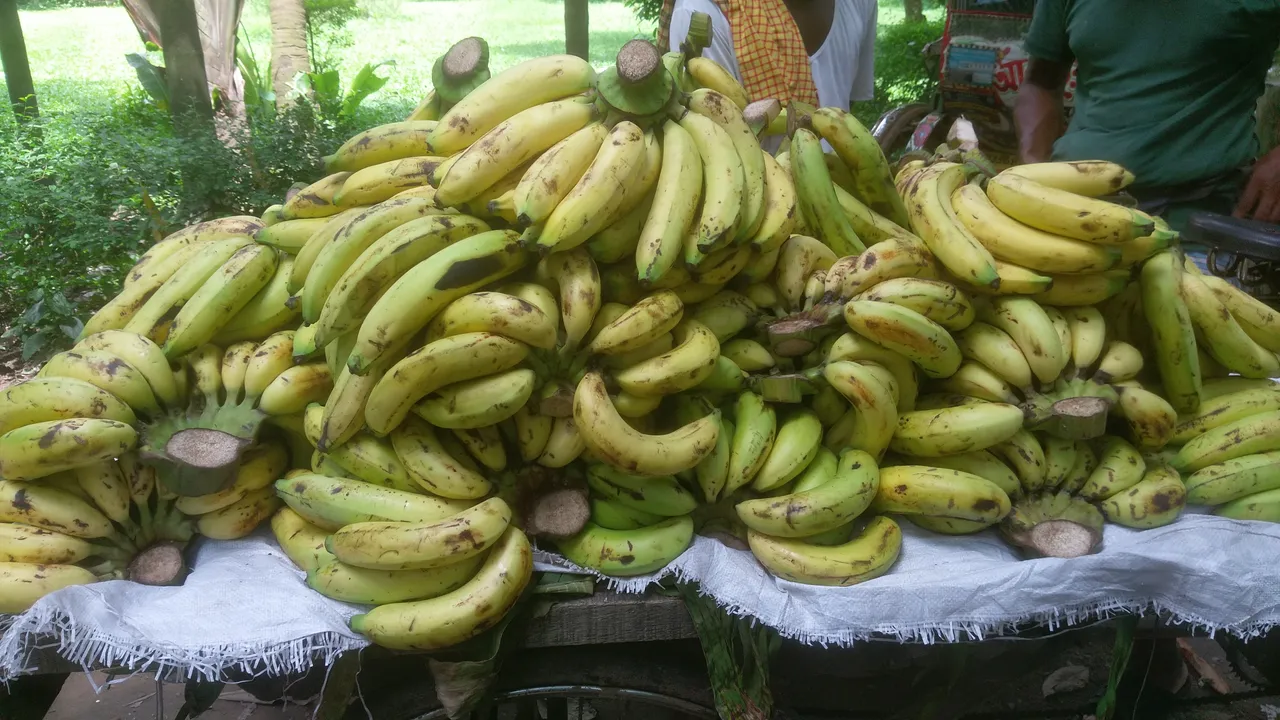 IMAG0019.jpg