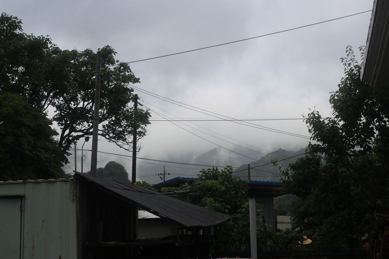 IMG_0006.JPG