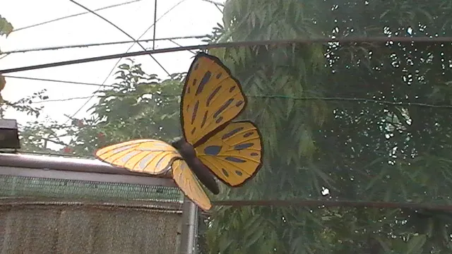 H1290015.JPG
