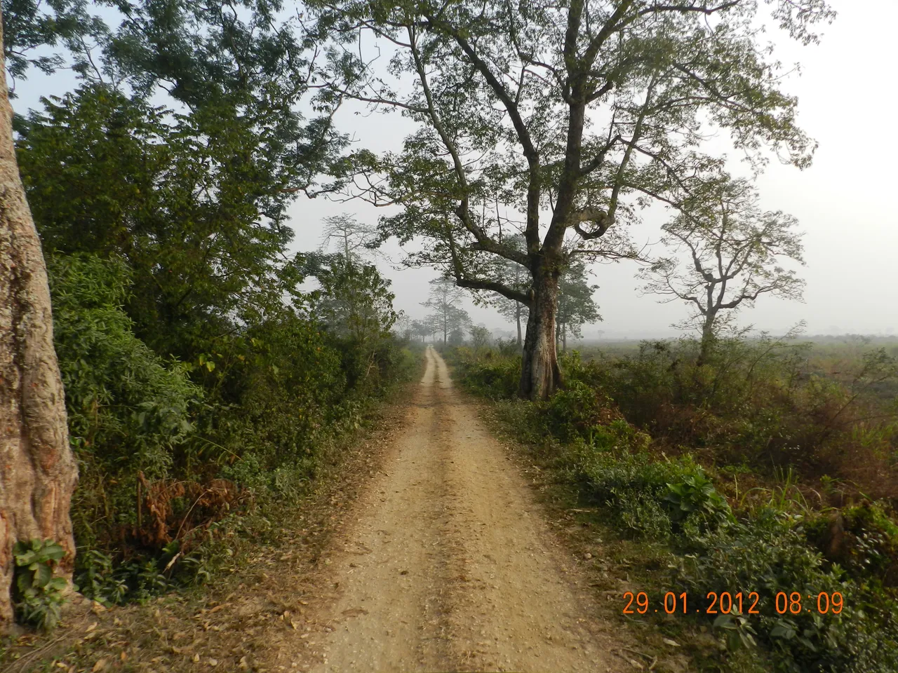DSCN2198.JPG