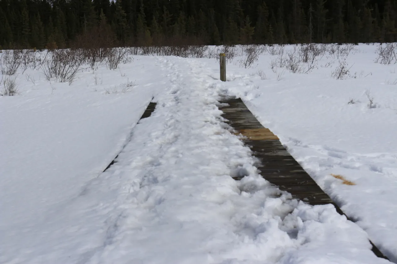 _MG_0600.JPG