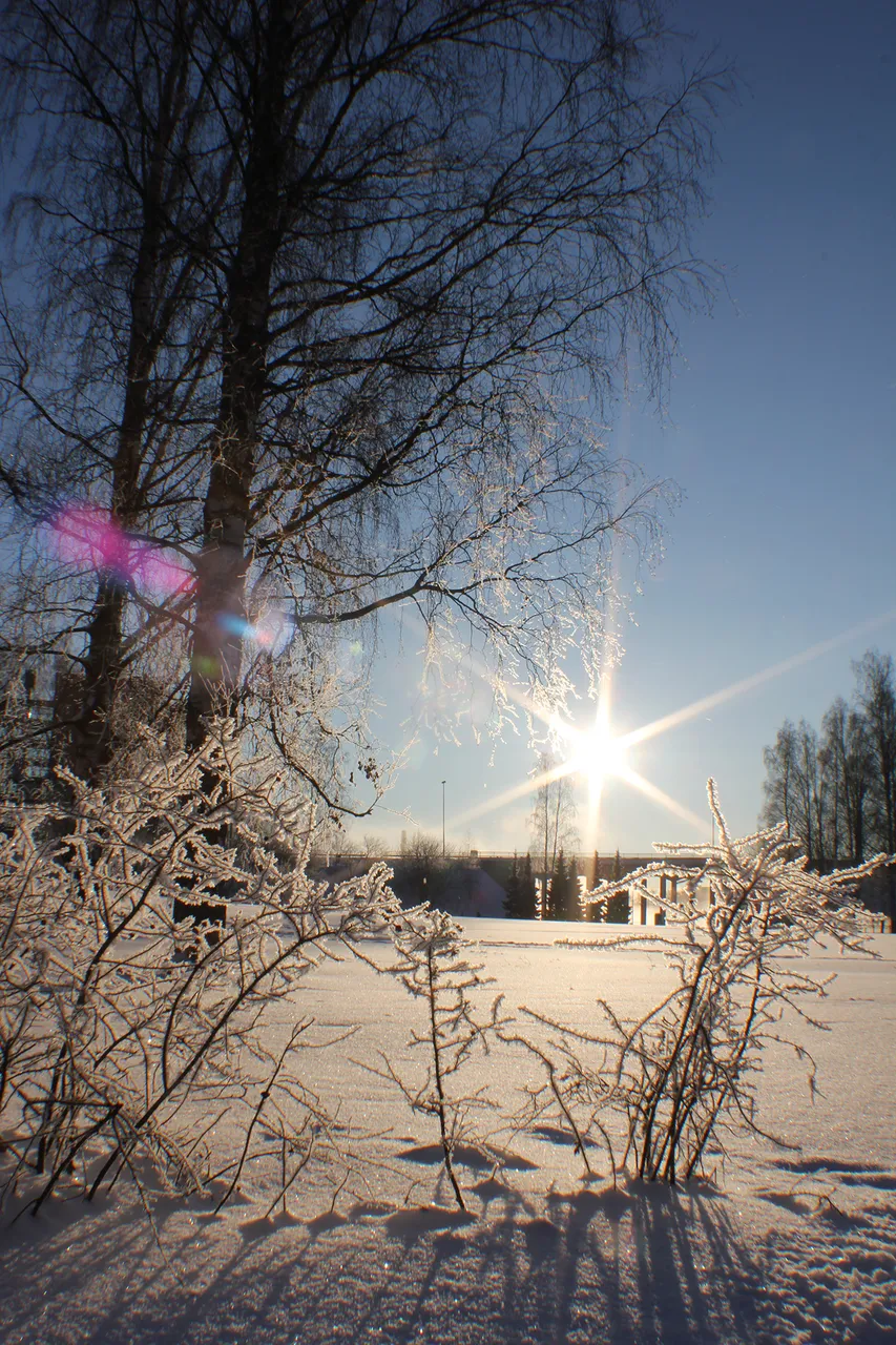 IMG_3820.JPG