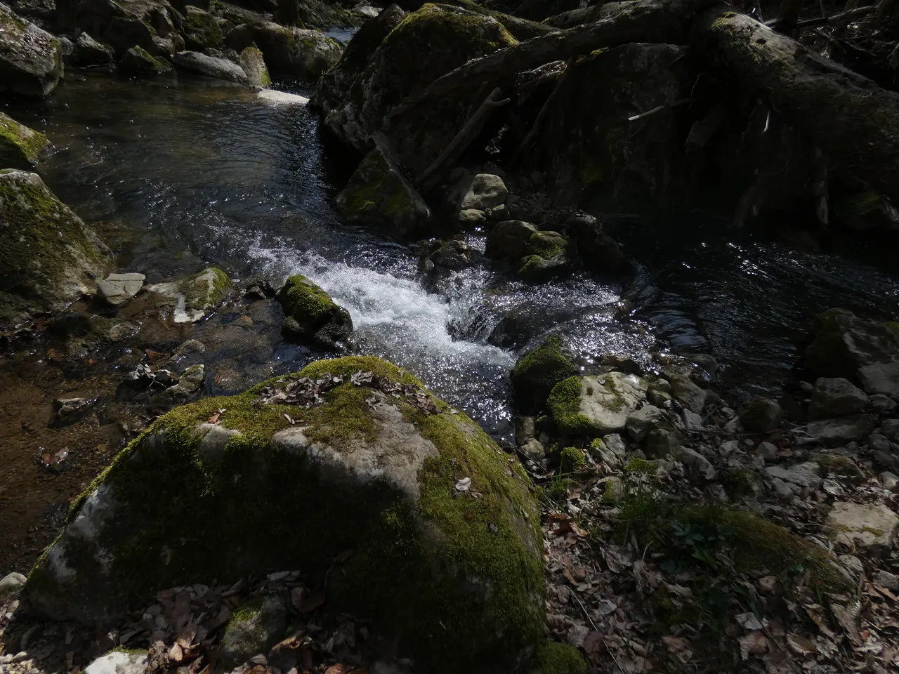P1230942.JPG